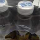 Snapple Zero Sugar Lemon Iced Tea, 16 fl oz, Pack of 12