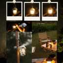 Crazy Power Camping Lantern Rechargeable LED Camping Light Premium Vintage Light 4500 mAh High Capacity Dimmable 3 Light Modes Waterproof for Camping Hiking Fishing Power Outages (CPG100 Green)