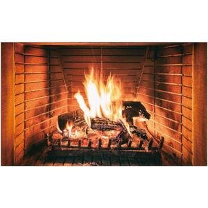 Allenjoy 5x3ft Burning Firewoods Photography Backdrop Winter Christmas Fireplace Flaming Woods Background for Kids Children Family Camping Barbeques Party Decor Banner Portrait Photo Booth Props