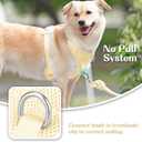 No Pull Dog Harness for Small Medium Large Dogs - Adjustable 2 Layer Mesh Dog Vest with Dual Clip, Escape Proof, Quick Release, Lightweight Breathable Mesh for Walking Hiking (Light Yellow,XS)