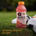 Gatorlyte Rapid Rehydration Electrolyte Beverage, Orange, 20oz Bottles (12 Pack) (EXP 12/21/26)