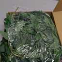 Artificial Italian Ruscus Greenery Stems, 20 Pack Faux Green Leaf Garland Branches Hanging Greenery Spray for Wedding Bouquet Arch Table Centerpiece Home Decor