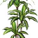 Artificial Plants, 5 Ft Dracaena Tree Faux Plants Indoor Outdoor Decor Fake Tree with Woven Seagrass Basket Plants for Home Decor Office Living Room Porch Patio Housewarming