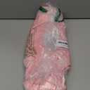 Fit Geno Back Brace and Adjustable Posture Corrector And Trainer for Women and Men, Back Straightener, Scoliosis and Hunchback Correction, Back Pain, Spine Support, Pink, Small (Waist 25-33 Inch)