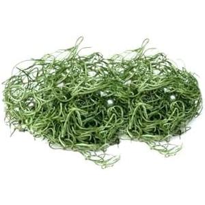 Serene Spaces Living Preserved Green Spanish Moss – Natural Decorative Moss for Planters, Crafts, Floral Arrangements, Terrariums & Event Décor, 8 Ounce Bag