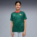 Puma Junior Fanpack Jersey (Green, XL)