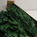 7 ft. PVC Unlit Artificial Slim Pencil Christmas Tree with Stand Home Holiday Decor Green