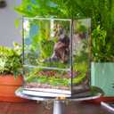 NCYP Close Glass Terrarium with Door - 7.8 x 5.1 x 9.8 Inches Geometric Landscape Clear Planter for Small Tropical Plants - Indoor Tabletop Centerpiece, Garden Decor (Terrarium Only)