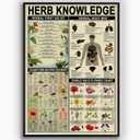 Herb Knowledge Metal Tin Signs Herbal First Aid Kit Infographic Poster Pharmacist Study Guide Tin Plaque Home Pharmacy Office Kitchen Wall Decor 16x24 Inches