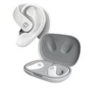Bytech iHome XT-42 True Wireless Bluetooth In-Ear Earbuds HMAUBE238