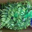 Crested Gecko Tank Accessories, Reptile Bridge and Plants with Coconut Shell Ladder Hideout, Natural Terrarium Decor for Lizard, Chameleon, Leopard Gecko, Snake, Hermit Crab and Tortoise (Group B)