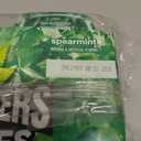 ICE BREAKERS Ice Cubes Spearmint Sugar-Free Gum Bottles, 6 ct BBD: 01-2028