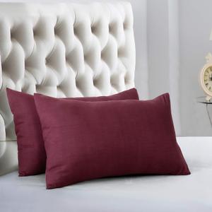 EVOLIVE Ultra Soft Brushed Microfiber Standard Size 20"x30" Pillowcases Pair Set of 2 with Envelope Closure (20"x30" Standard)