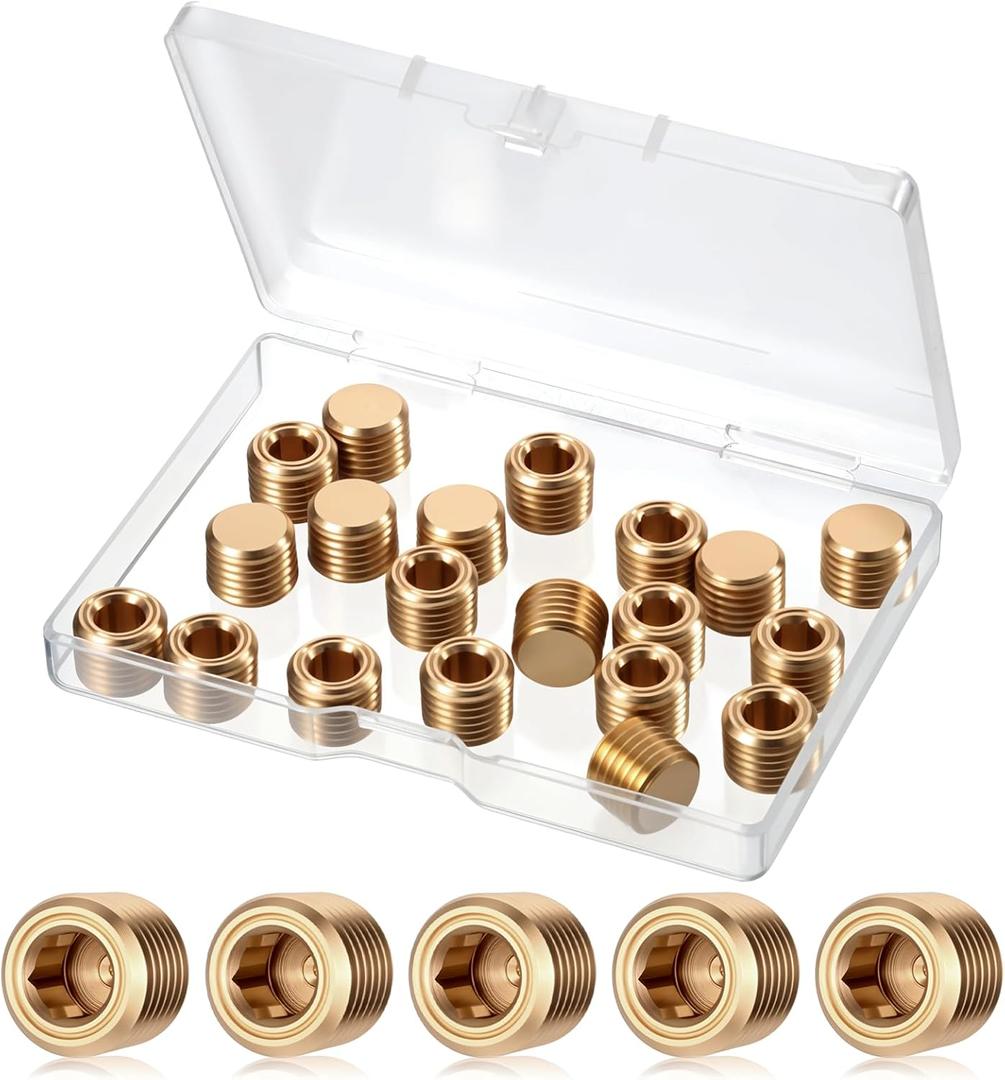 20 PCS 1/4 Pipe Plug, Hex Counter Sunk Pipe Plugs 1/4" NPT Plug Internal Hex Socket Thread Plugs Kit for Water Gas Oil Pipes