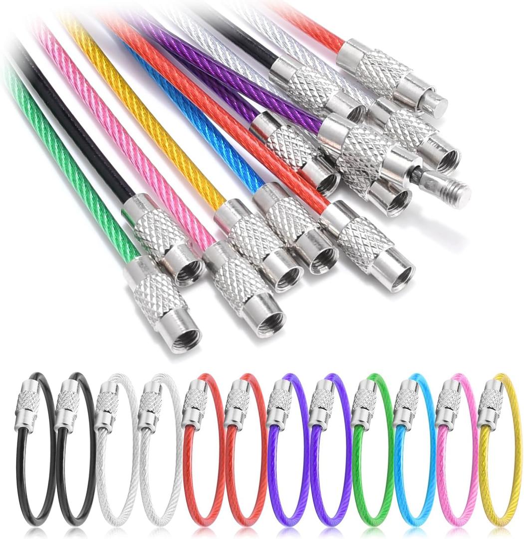12 Pack 4" Key Ring Wire Keychain Cable Keyring Keychain Holder Clips Small Loops for Car Keys, Luggage Tags, Bag Tags, Crafts (Assorted, 2mm) (Colorful)