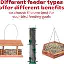 Kaytee Nyjer Wild Bird Food Seed, 5 Pound