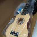 Everjoys Soprano Ukulele Beginner Kit 21 Inch w/Free Online Lesson Gig Bag Tuner Picks Strap, Fast to Learn (Rainbow String)