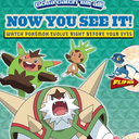 Now You See It! Kalos Edition (Pokémon)