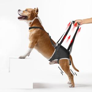 Dog Hip Support Brace - for Surgery Rehabilitation and Mobility Aid, Rear Leg Lift Harness for Dogs, Comes with Chest Stabilizing Straps, Upgraded Adjustable Elastic and Buckles, M (Black)