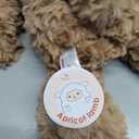 Apricot Lamb Toys Plush Brown Teddy Bear Stuffed Animal Soft Cuddly Perfect for Child 12 Inches