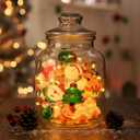 LOLStar Christmas String Lights Decorations, 9.8FT 20 LED Christmas Fairy Lights, Battery Operated (Not Included) with Timer Function and 8 Flashing Modes, Cute Window Lights 2025 Home Indoor Decor