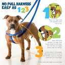 2 Hounds Design Freedom No Pull Dog Harness, Adjustable Harness, Easy Walking & Comfortable Control, Fits Small, Medium & Large Dogs, Solid Colors, Made in USA, 1" LG, Teal