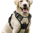 rabbitgoo Dog Harness No Pull with 2 Leash Clips, Adjustable Soft Padded, Reflective Oxford No Choke Pet Vest with Easy Control Handle for Large Dogs, Beige, L