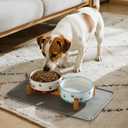 YUN TAO 3.5 Cups Pet Bowls Set of 2 for Medium Dogs,Ceramic Pet Food Water Dish Feeding with Wooden Stand,Cute Puppy Pet Dishes,Includes Non-Slip Silicone Mat