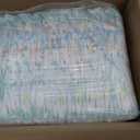 Pampers Training Pants - Easy Ups Boys & Girls Bluey - Size 3T-4T, 66 Count, Children's Potty Underwear