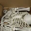 Wocst 5.4Ft/165cm Halloween Skeleton Full Body Life Size Human Bones with Movable Joints for Indoor Outdoor Halloween Props Decorations