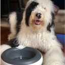 Standard Replacement Filters (6-Pack)