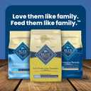 Blue Buffalo Life Protection Formula Healthy Weight Adult Dry Dog Food, Supports an Ideal Weight, Made with Natural Ingredients, Chicken & Brown Rice Recipe, 5-lb Bag (5 Pound (Pack of 1))