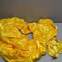 Drofe Princess Dress Costume for Women Yellow Dress Prom Party Adult (S)