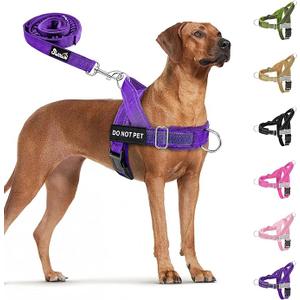 SlowTon No Pull Dog Harness - Heavy Duty Dog Harness and Leash Set for Medium Large Dogs, Reflective Tactical Harness with Soft Padded and Front Clip for Easy Walk and Training (MG, S)