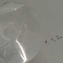 Momstouch 19mm Flange Compatible With Spectra S1 S2 9 Plus Synergy Gold Breastpump Replacement To Spectra Pump Parts And Flange; Not Original; Replaces Shield