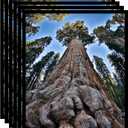 11x14 Picture Frame Black Photo Frames Display for Wall and Tabletop, Set of 6