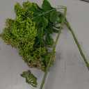 Maysing 4 Pcs Artificial Skimmia Stem with Leaves 22.4 Inch Realistic Long Stem Fake Flowers for Home Wedding Vase Table Centerpiece Floral Arrangement Bouquet Decorations(Green,Classic)