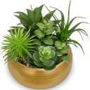 Hollyone Fake Plants Artificial Succulents in Pots Faux Succulent Arrangement Potted Plant in Gold Ceramic Planter Bowl for Home Decor Office Desk Bathroom Shelf Living Room Indoor Decorations