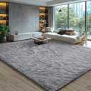 EVOIONOS 5x7 Washable Large Area Rug for Living Room, Fluffy Shag Rug for Bedroom, Ultra Soft Plush Non Slip Carpet for Indoor Floor Bedside Nursery Kids Girls Room Dorm, Home Decor Aesthetic, Grey