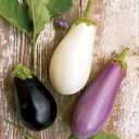 8 x 30+ Seeds Eggplant Long Mix - Vegetable Multicolor