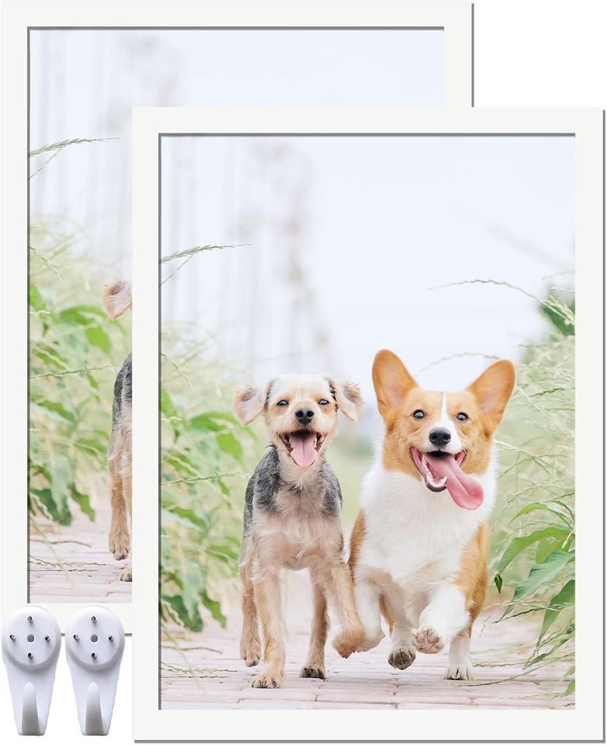 8x11 Picture Frame Set of 2, White Photo Frames High Transparent Wall Gallery Desktop Horizontal Vertical for Canvas Collage Photo Poster Certificate 8 x 11 inches