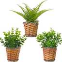 Small Fake Plants, 3 Pack Mini Potted Artificial Fern, Eucalyptus, Aglaia Odorata Plant in Rattan Pots, for Farmhouse, Home Decor, Office, Bathroom, Desk, Indoor & Outdoor