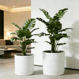 GreenShip Planter Set of 2 (9.8" & 7.8") – Cylinder Planters with Drainage Hole and Planter Saucer, Jun Porcelain Clay & Recycled Resin, Decorate Home,Office & Outdoor,White pots