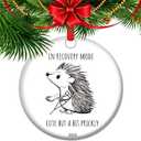 Hip Surgery Recovery Ornament 2025 in Recovery Mode Cute But Prickly Gift for Patients Post Op Cheer Ceramic Keepsake Christmas (V3)