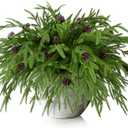 Watayo 15 Pcs Christmas Norfolk Pine Branches with Pine Cones, 19" Extra Length Fake Greenery Norfolk Pine Stems Sprigs, Artificial Xmas Branches Plants Pine Leaves for DIY Craft Garland Home Decor