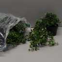 Palonu Artificial Hanging Plants for Shelf, 4 Pack Fake Potted Greenery Faux Eucalyptus Vine, Mandala Vine, String of Pearls,Pea pod Leaves in Pot for Office Living Room Bathroom Indoor Outdoor Dcor