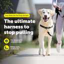 PetSafe Easy Walk No-Pull Dog Harness - Ultimate Harness to Help Stop Pulling - Pull-Free Walks - Take Control & Teach Better Leash Manners - Patented Martingale Loop Design - Black, Large