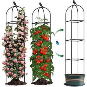 Square Tomato Cages for Garden, 6.2 FT Cucumber Trellis for Flowers, Grape, Pea, Rose, Bean, Rustproof Plastic Coated Metal Plant Support for Potted Plants Indoor Outdoor- 1PC Obelisk Trellis
