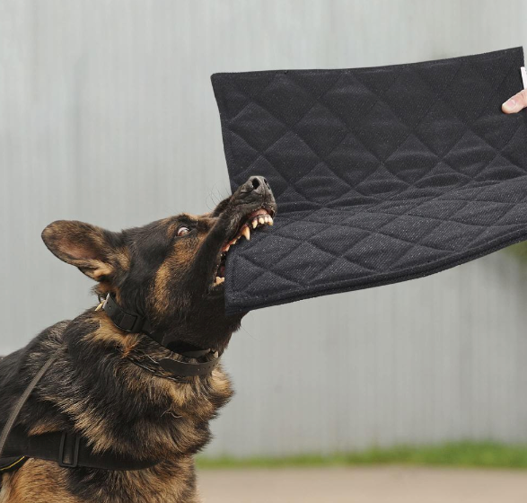 MABOZOO Indestructible Dog Bed, Chew Proof Crate Pad for Aggressive Chewers, Machine Washable Quilted Mat, Durable for Small and Medium Dogs, Black Kennel Pad (18x29 in)