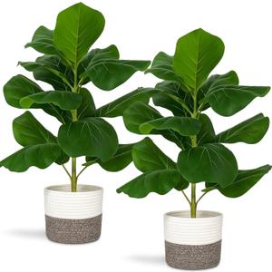 2 Pcs Artificial Summer Fiddle Leaf Fig Trees, 2.7 ft Tropical Theme Artificial Ficus Lyrata Fake Potted Plant with Cotton Rope Baskets for Home Office Bedroom School Classroom Decoration Gifts White